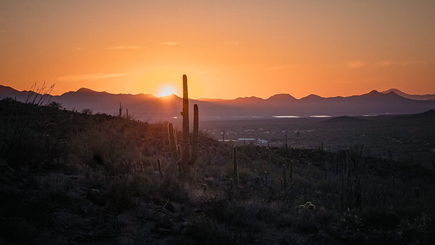 A Photographer’s Guide to Southern Arizona – Photo Tips, Creative Photography + Travel Guides