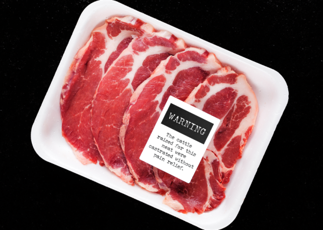 Switzerland’s new food labels will come with animal cruelty warnings