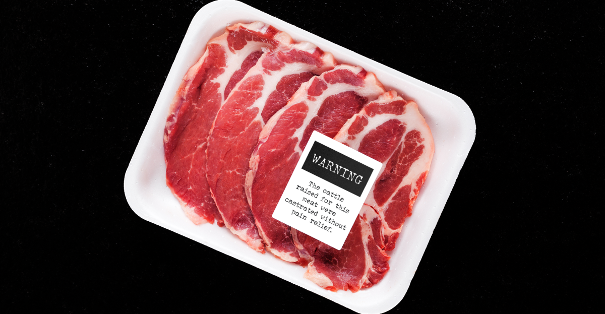 Switzerland’s new food labels will come with animal cruelty warnings
