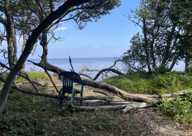 Exploring Fire Island’s Meat Rack in Photos